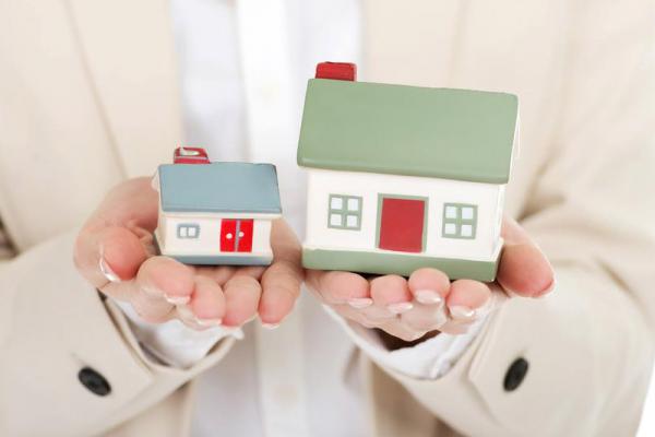 Donec Dapibus Placerat 