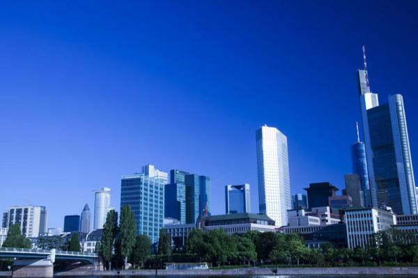 Donec Dapibus Placerat 